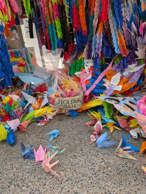 PXL_20250909_025032609